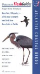 Atlantic Coastal Birds - Roger Tory Peterson