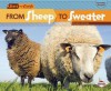 From Sheep to Sweater - Robin Nelson