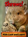 Shrews! Learn About Shrews and Enjoy Colorful Pictures - Look and Learn! (50+ Photos of Shrews) - Becky Wolff