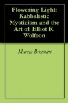 Flowering Light: Kabbalistic Mysticism and the Art of Elliot R. Wolfson - Marcia Brennan