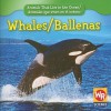 Whales - Valerie J. Weber