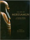 The Life Of Meresamun: A Temple Singer In Ancient Egypt (The Oriental Institute Of The University Of Chicago) - Emily Teeter, Janet H. Johnson