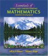 Essentials of Using and Understanding Mathematics: A Quantitative Reasoning Approach - Jeffrey Bennett, William L. Briggs