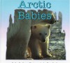 Arctic Babies - Kathy Darling