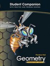 Prentice Hall Geometry Foundation Series: Student Companion with Practice and Problem Solving - AGS Secondary