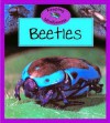 Beetles - Barrie Watts