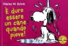 È duro essere un cane quando piove! - Charles M. Schulz, S. Rumor