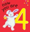 Now You Are 4 - Lois Rock