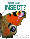 What is an Insect? - Robert Snedden