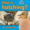 What Is Hatching?, Vol. 42 - Bobbie Kalman