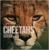 Face to Face With Cheetahs (Face to Face with Animals) - Chris Johns, Elizabeth Carney