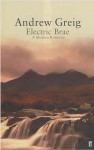Electric Brae - Andrew Greig