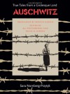 Auschwitz: True Tales From a Grotesque Land - Sara Nomberg-Przytyk, Roslyn Hirsch, Eli Pfefferkorn, David H. Hirsch