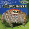Jumping Spiders - Joanne Randolph