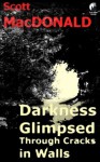 Darkness Glimpsed Through Cracks in Walls - Scott MacDonald