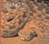 Snakes - Martin Gaywood, Ian F. Spellerberg