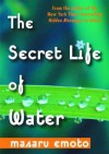 The Secret Life Of Water - Masaru Emoto