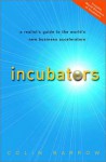 Incubators: A Realist's Guide to the World's New Business Accelerators - Colin Barrow