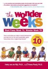 The Wonder Weeks, Leap 10: How to Stimulate Your Baby's Mental Development and Help Him Turn His 10 Predictable, Great, Fussy Phases Into Magical Leaps Forward - Hetty van de Rijt, Frans Plooij