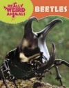 Beetles - Clare Hibbert