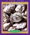 Calcium (True Books: Elements) - Salvatore Tocci