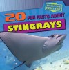 20 Fun Facts about Stingrays - Heather Moore Niver