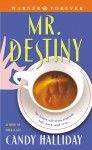 Mr. Destiny - Candy Halliday