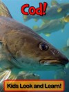 Cod! Learn About Cod and Enjoy Colorful Pictures - Look and Learn! (50+ Photos of Cod) - Becky Wolff