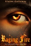 Raging Fire (Elemental Clans, #2) - Elaine Calloway