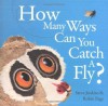 How Many Ways Can You Catch a Fly? - Steve Jenkins, Robin Page