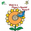 What Is a Flower's Special Power? - Kay Massey, Sonia Canals