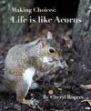 Making Choices: Life is Like Acorns - Cheryl Rogers