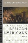 To Make Our World Anew: Volume I: A History of African Americans to 1880 - Robin D.G. Kelley