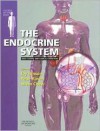 The Endocrine System - Joy Hinson, Peter H. Raven, Shern L. Chew