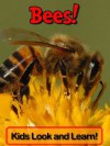 Bees! Learn About Bees and Enjoy Colorful Pictures - Look and Learn! (50+ Photos of Bees) - Becky Wolff