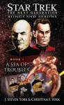 Star Trek: The Next Generation: A Sea of Troubles - J. Steven York, Christina F. York