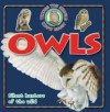 10 Things You Should Know About Owls - Steve Parker