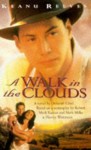 A Walk In The Clouds: A Novel - Deborah Chiel