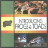 Introducing Frogs & Toads - Graham Meadows