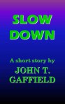 Slow Down - John Gaffield