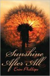 Sunshine After All - Erin Phillips