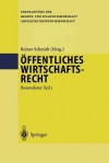 Offentliches Wirtschaftsrecht: Besonderer Teil 1 - Reiner Schmidt