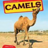 Camels - Willow Clark