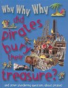 Why Why Why Did Pirates Bury Their Treasure? - Mason Crest Publishers