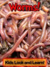 Worms! Learn About Worms and Enjoy Colorful Pictures - Look and Learn! (50+ Photos of Worms) - Becky Wolff