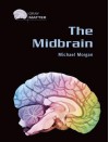 The Midbrain - Michael Morgan