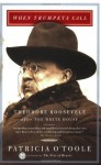 When Trumpets Call: Theodore Roosevelt After the White House - Patricia O'Toole