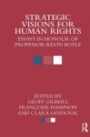 Strategic Visions for Human Rights: Essays in Honour of Professor Kevin Boyle - Geoff Gilbert, Francoise Hampson, Clara Sandoval