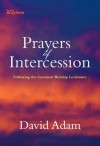 Prayers of Intercession - David Adam