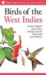 Field Guide To The Birds Of The West Indies (Helm Field Guides S.) - Herbert A. Raffaele, Orlando H. Garrido, James Wiley